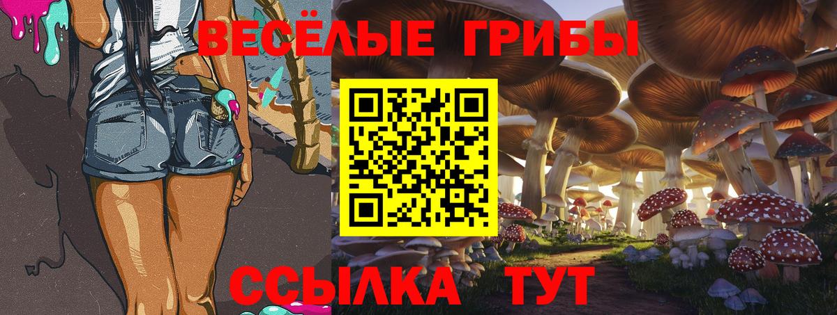 Галлюциногенные грибы MAGIC MUSHROOMS Михайловка