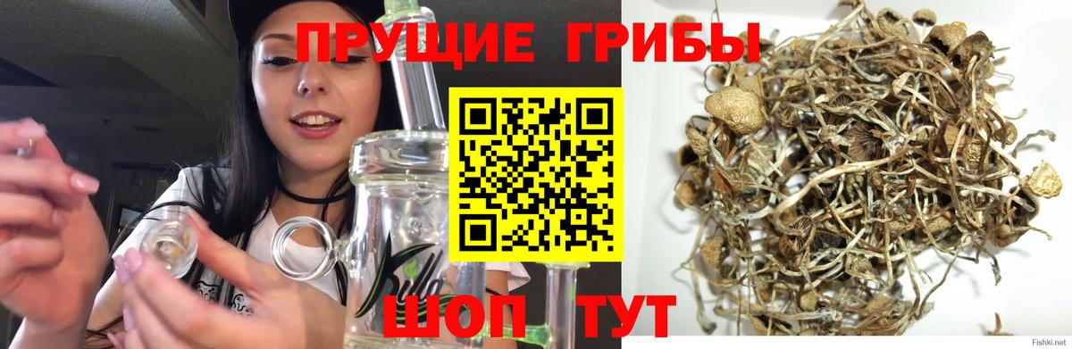 Галлюциногенные грибы ЛСД  Вход с VPN  Михайловка 